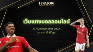 เว็บแทงบอล ufabet