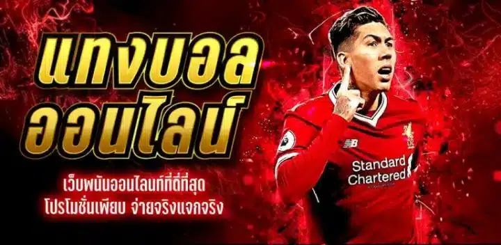 เว็บแทงบอล